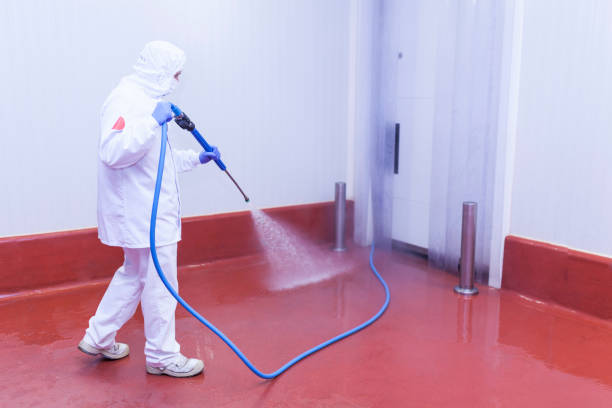 Reliable Springfield, OH Pressure Washing Services Solutions